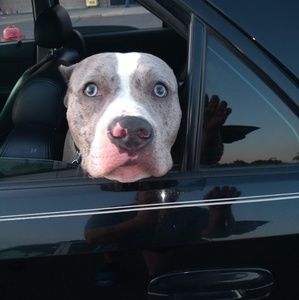 Meet your Posher, Tim